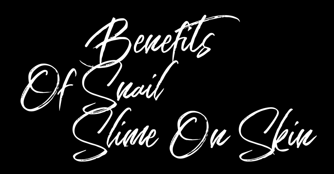 BENEFITS OF SNAIL SLIME ON SKIN - Nikkisavy Limited